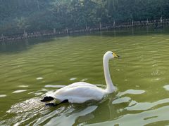 -无锡动物园·太湖欢乐园