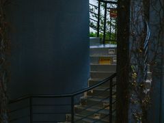 -芒洲湿地公园