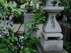 -难波八坂神社