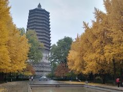 -玲珑塔公园