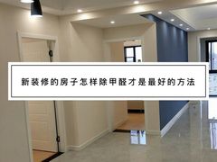 -绿色亿家除甲醛机构
