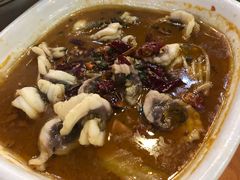 -焯明脆肉鲩世家(金沙洲店)