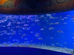 -波塞冬海底世界