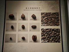 -南越王博物院(王宫展区)