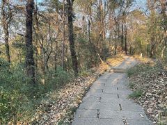 -九曜山