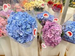-山姆会员商店(亦庄创意生活广场店)