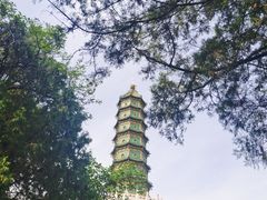 -香山公园
