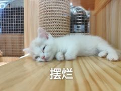 -永旺梦乐城(金银潭店)