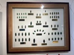 -上海昆虫博物馆