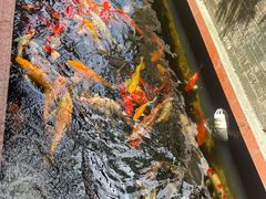 -侠成水上农庄(工业大道店)