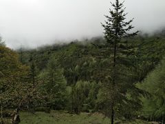 -硗碛藏寨·神木垒景区