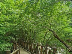 -青峰峡国家森林公园