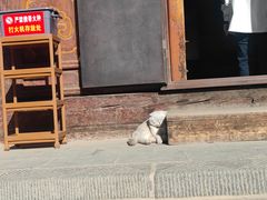 -张掖大佛寺景区