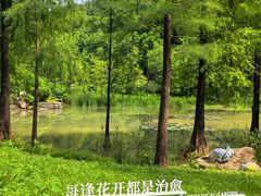 -云溪植物园