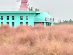 -北龙湖湿地公园