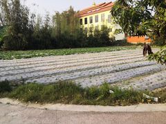 -边寨喊沙
