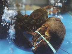 -麦德龙(郑东店)