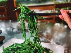 -兴隆槟榔园休闲农庄