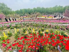 -石家庄市植物园