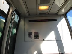 -纽瓦克自由国际机场