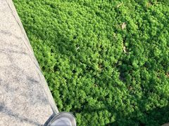 -南北湖风景区