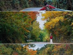 -苏州上方山国家森林公园