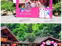-常德桃花源景区