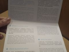 功能枕头-徐州博顿温德姆酒店(高铁东站店)