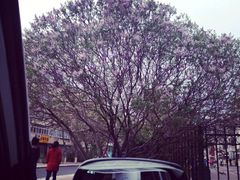 -香港麦道(毅腾商都店)