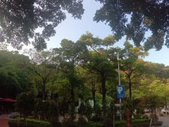 -仙岳公园
