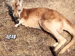 -宁波野生动物园