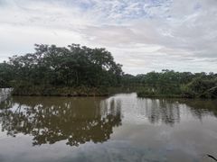 -大湾区中央湿地公园