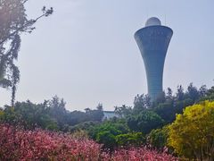 -狐尾山公园