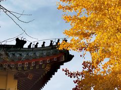 -中国农业博物馆