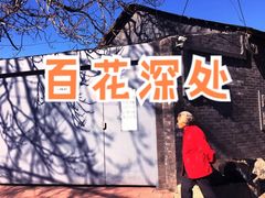 -百花深处胡同