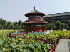 -大明幻境第一城