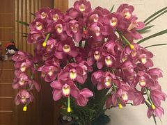 -双季花艺园艺市场(浦东店)