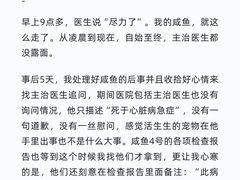 -泰洋动物医院·神经专科·磁共振·CT(天河公园总院)