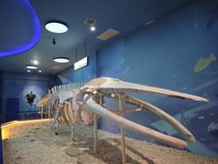 -福州罗源湾海洋世界旅游区