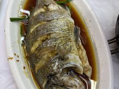-阿军排档·烧烤