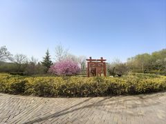 -兰山公园