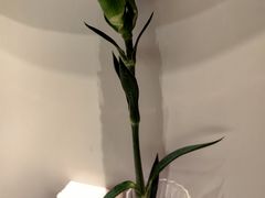 -華府Deluxe(兴业太古汇店)