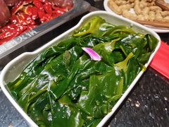 海带-渝利重庆火锅