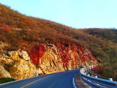 -白草畔自然风景区