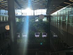 -西沃古尔·拉姆古兰爵士国际机场