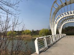 -九里河湿地公园