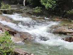 -广州白江湖森林公园