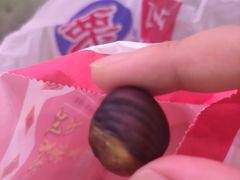 -阿男野栗王(金门路店)