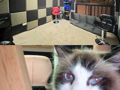 -零纪元VR体验馆·桌游(黄浦店)