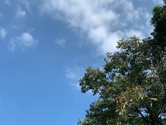 -四会奇石河风景区